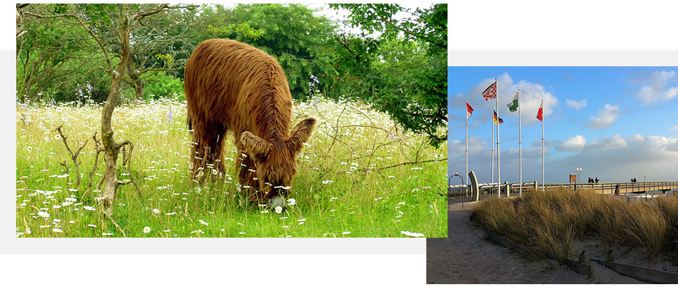 Zoo Grömitz „Arche Noah“